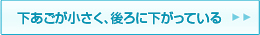 下あごが小さく後ろにさがっている